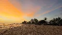 20260828_060452.webp